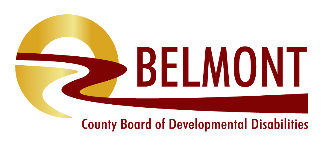 BELMONT COUNTY BOARD OF DEVELOPMENTAL DISABILITIES