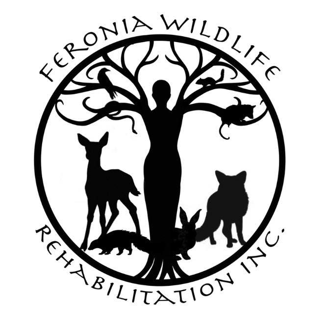 FERONIA WILDLIFE REHABILITATION